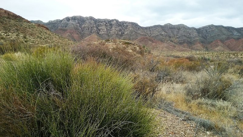 Looking west from the trail. Franklin Mountains in the background.