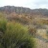 Looking west from the trail. Franklin Mountains in the background.