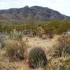 Looking back on the trail, the Franklin Mountains in the background.