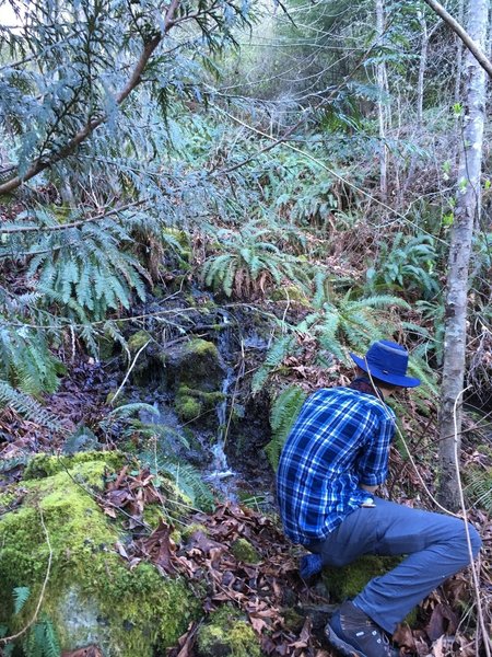 A hiker captures this small cascade with a camera.