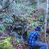 A hiker captures this small cascade with a camera.