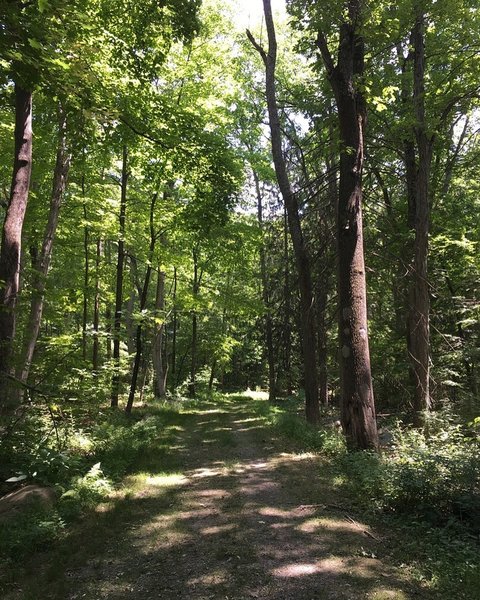 Skylands - New Jersey Botanical Garden.