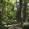 Skylands - New Jersey Botanical Garden.