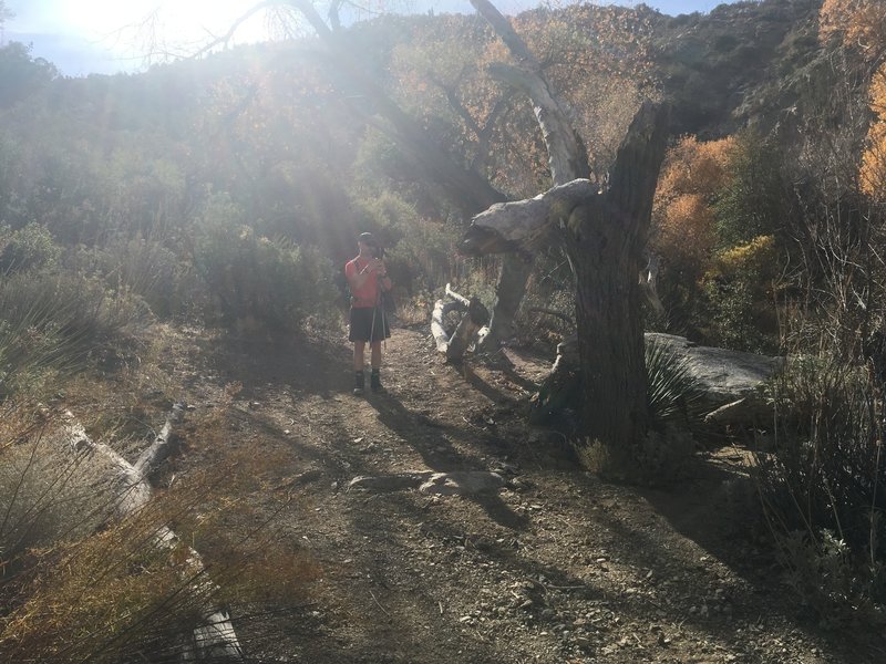 Taking a break in Horsethief Creek