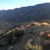 Starting the steep descent into Martinez Canyon.