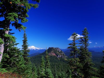 Mount Rainier and Sawtooth Mountain from above the saddle
