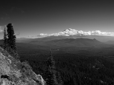 Mount Adams from the Cultus Creek Trail