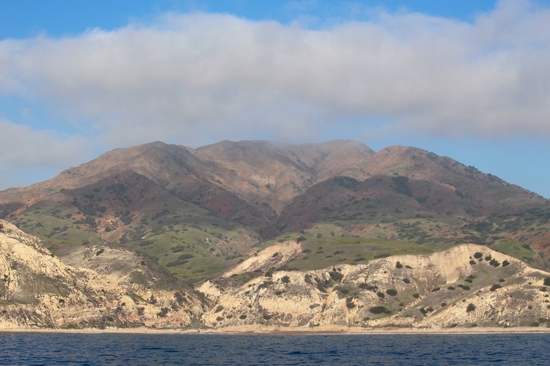 Santa Cruz landscape