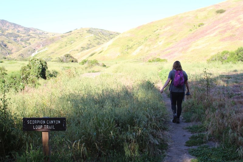 Beginning of Scorpion Canyon Loop Trail.