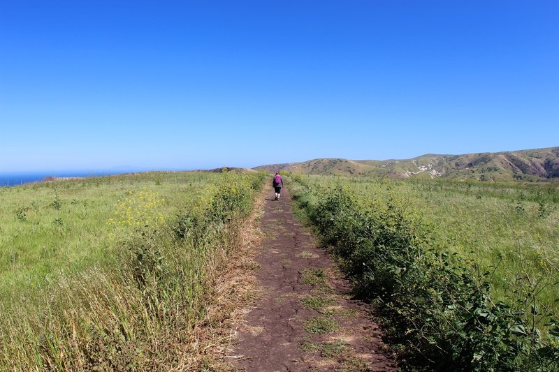 Heading back to the campground on the Potato Harbor Road trail.