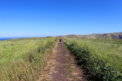 Heading back to the campground on the Potato Harbor Road trail.