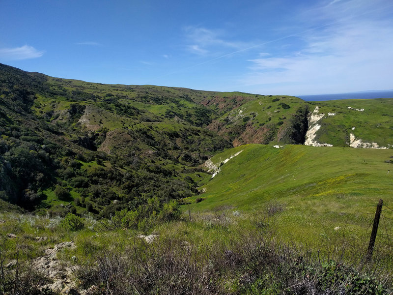 Scorpion Canyon Loop Trail.