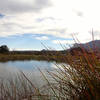 Another shot of Manzanita Spring.