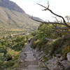 0.25 miles after beginning the Guadalupe Peak Trail.