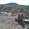 View of the little tin mine hill from the Mayberry trail