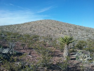 View of the ridge from the trail