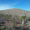 View of the ridge from the trail