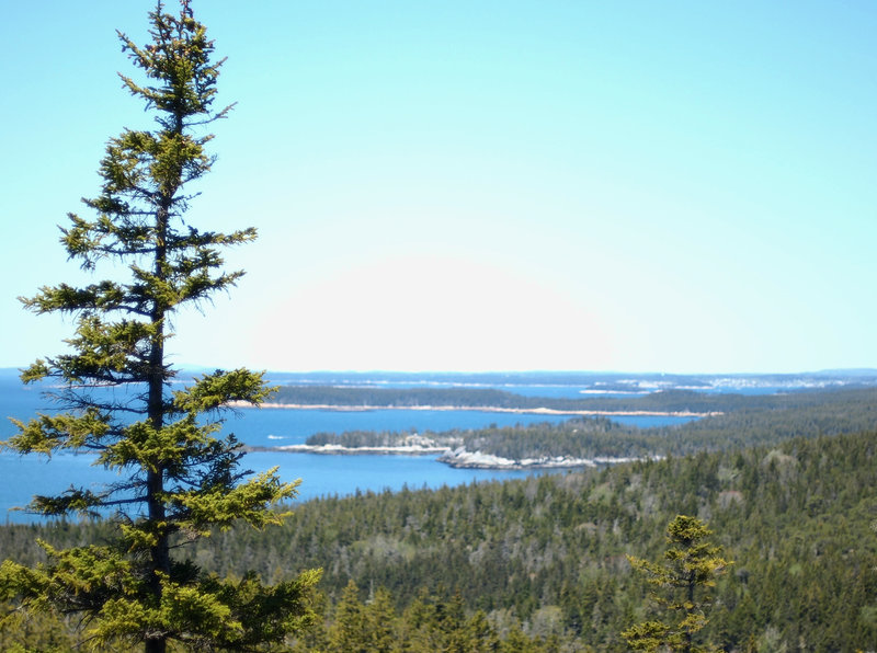 View toward the town landing and Duck Harbor Campground from the top of Duck Harbor Mountain