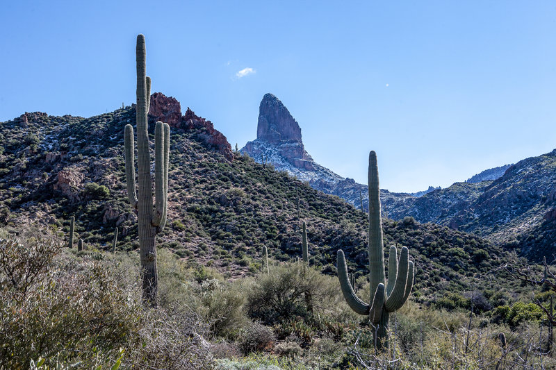 Needle sprinkled with snow. View from Dutchman trail.