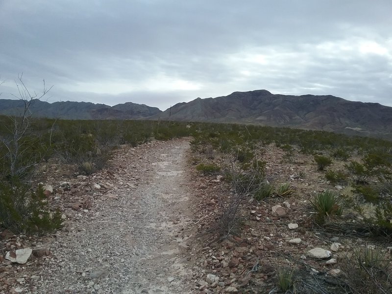 Looking east on the trail