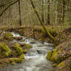 Just before the Ranger Station Parking in Greenbrier