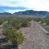 Looking east from the trail towards the Franklin Mountains