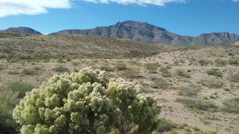 View of  Franklin Mountains from the trail