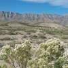 Scenic Views of the foothills and Franklin Mountains in the autumn.