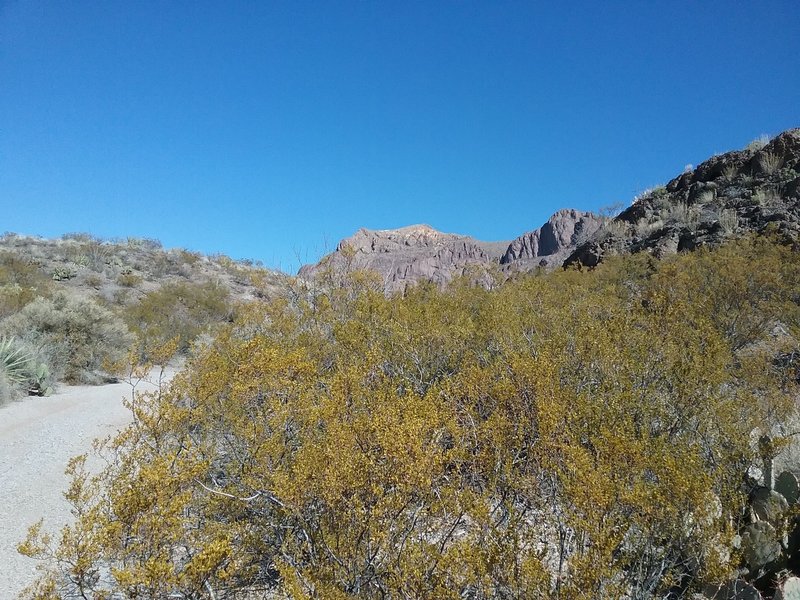 Walking down the arroyo towards the mountain. Nice scenery.