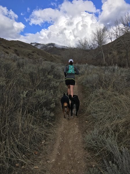 Headed up five mile gulch in early spring