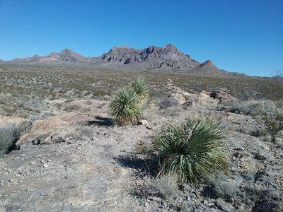 Hiking North on the trail.