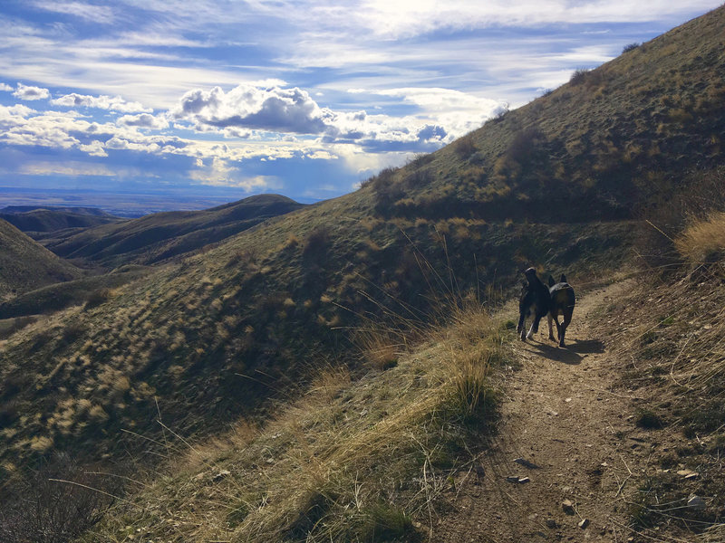 Another switchback approaching the view of the hills around Boise