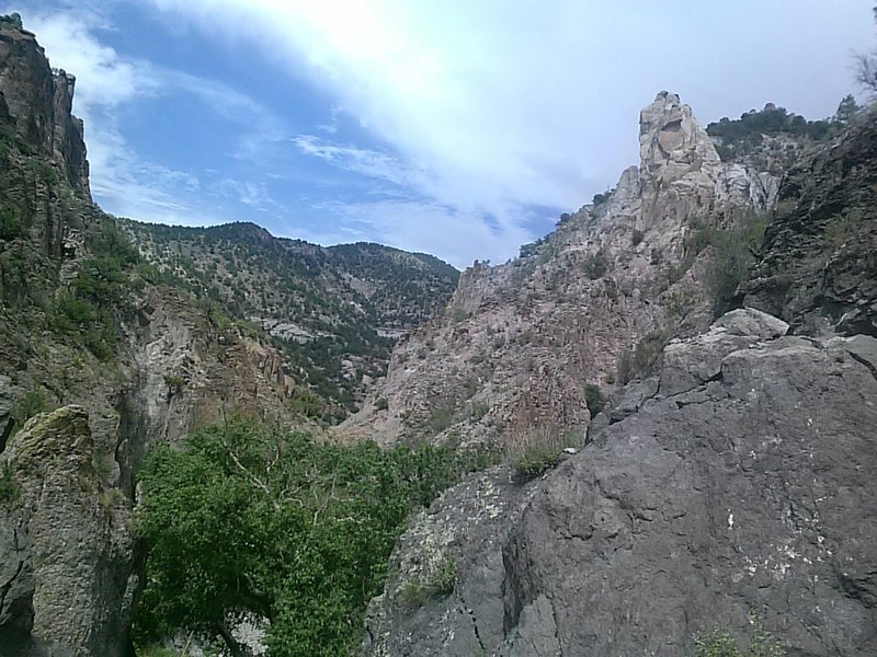 Looking east into the canyon.