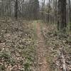 Steepest trail on Jones Creek Loop