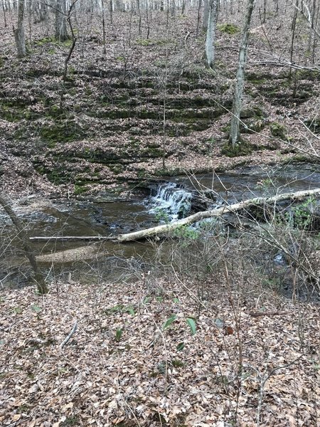 One of the small waterfalls on Lawson Branch