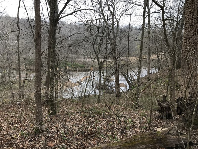 View of Shoal Creek from Lawson Trail Loop