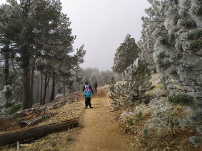 A beautiful spring day on the Meadow Trail as some snow was moving through.