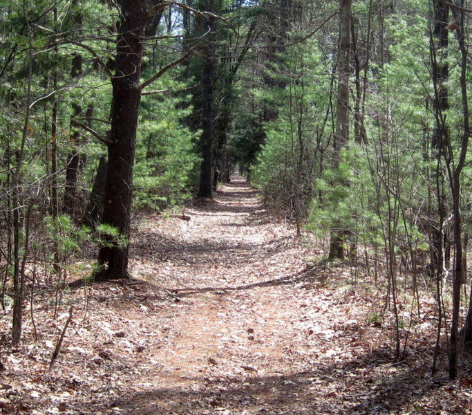 Nashua River Trail