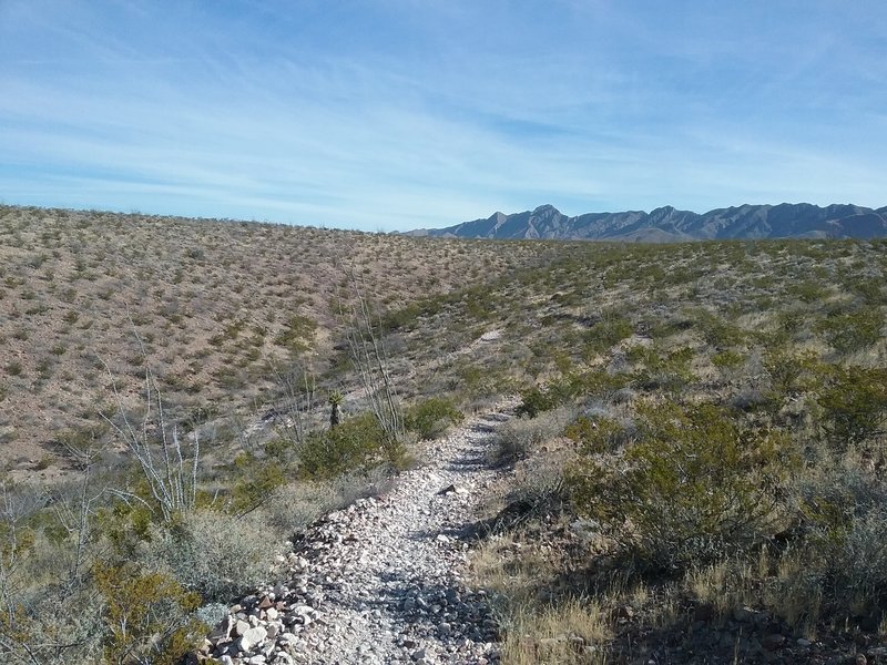 Walking down into the gulch.