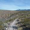 Walking down into the gulch.