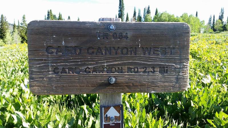 Card Canyon Sign