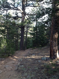Pence Park