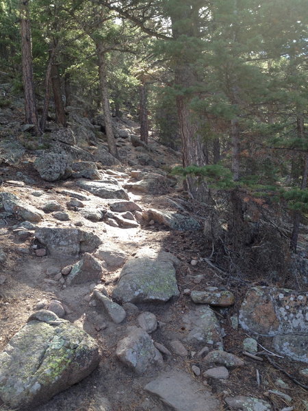 Trail leading to the peak