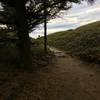 Looking towards the beach access spur.