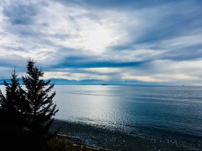 The Olympic Mountain Range, towering out of the Salish Sea.
