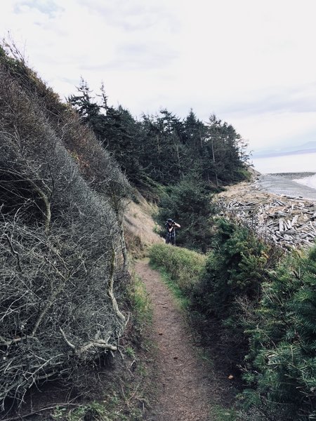 The trail winding down the bluff.