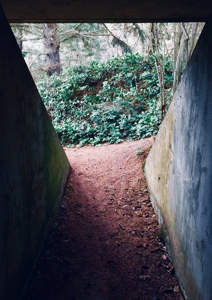 Looking out the entrance.