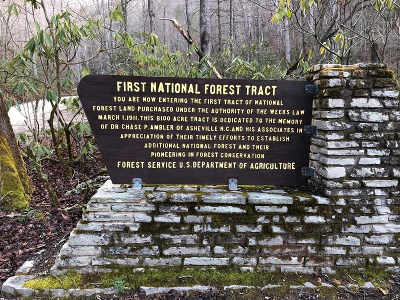 History of the Hickory Branch / Leadmine Gap / Snooks Nose Trails