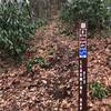 This trailhead sign is not easy to see from Curtis Creek Rd