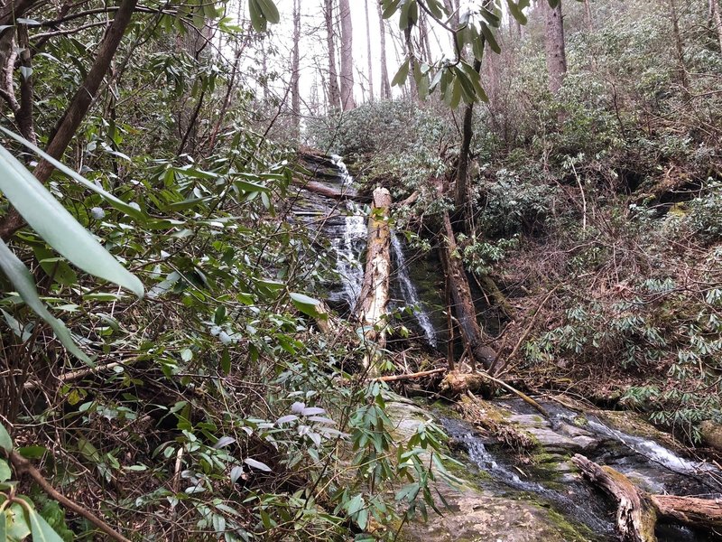 Upper Hickory Branch Falls